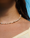 DSC02675.webp